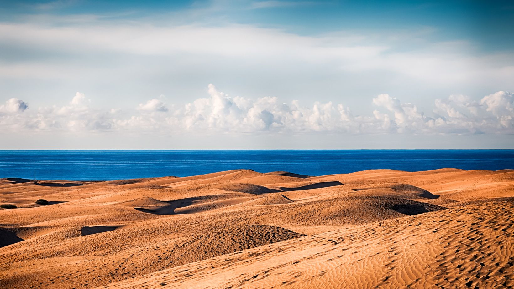 Explore Maspalomas Dunes
