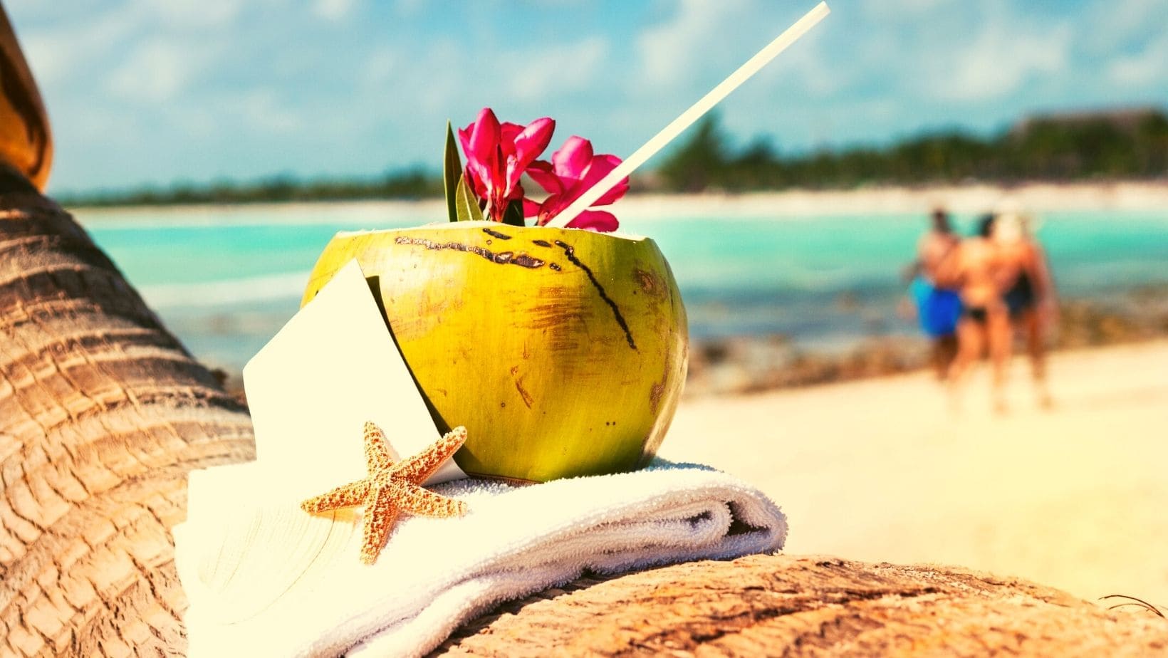 Where to Stay Kite Holiday Grenadines?